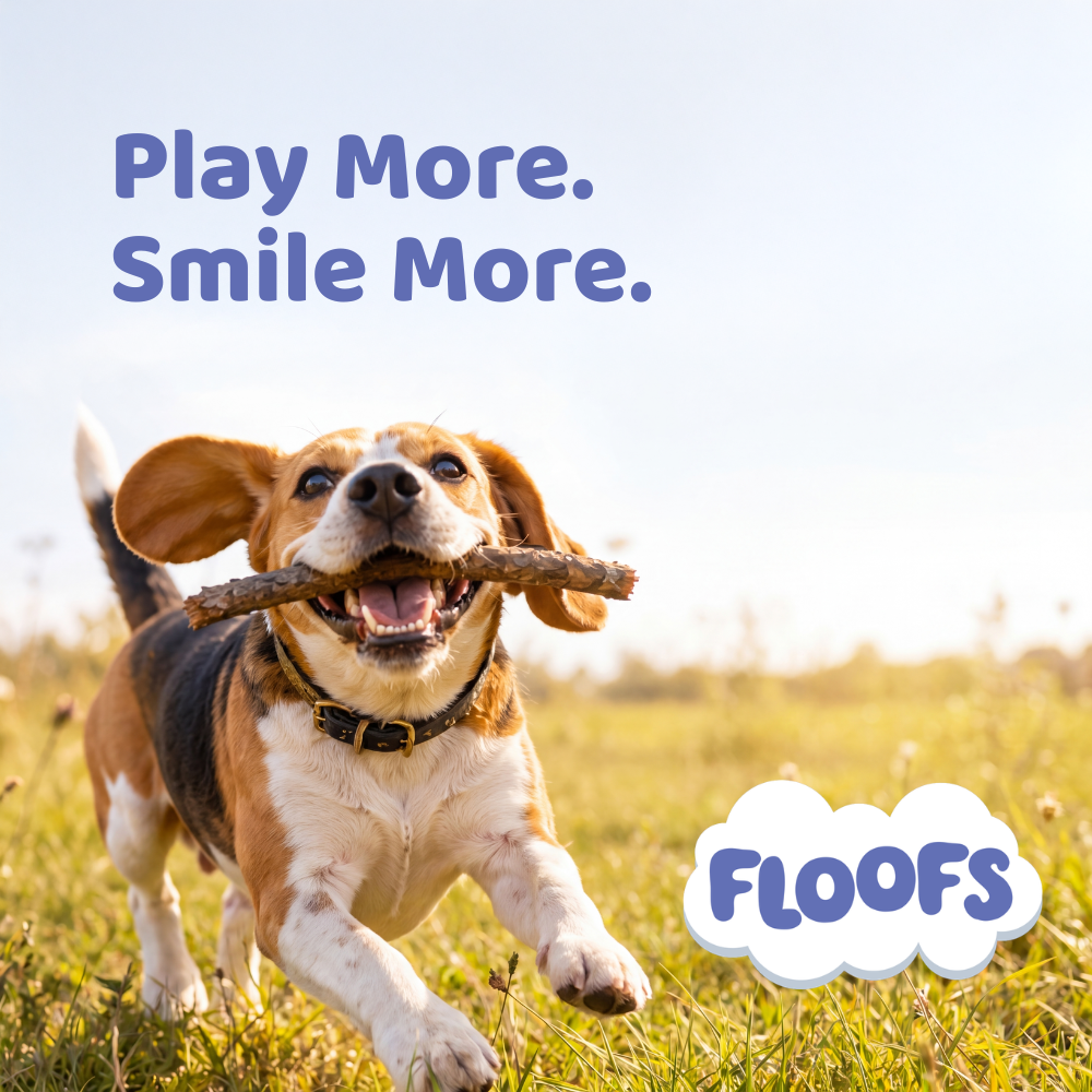 Floofs Dog Dental Powder