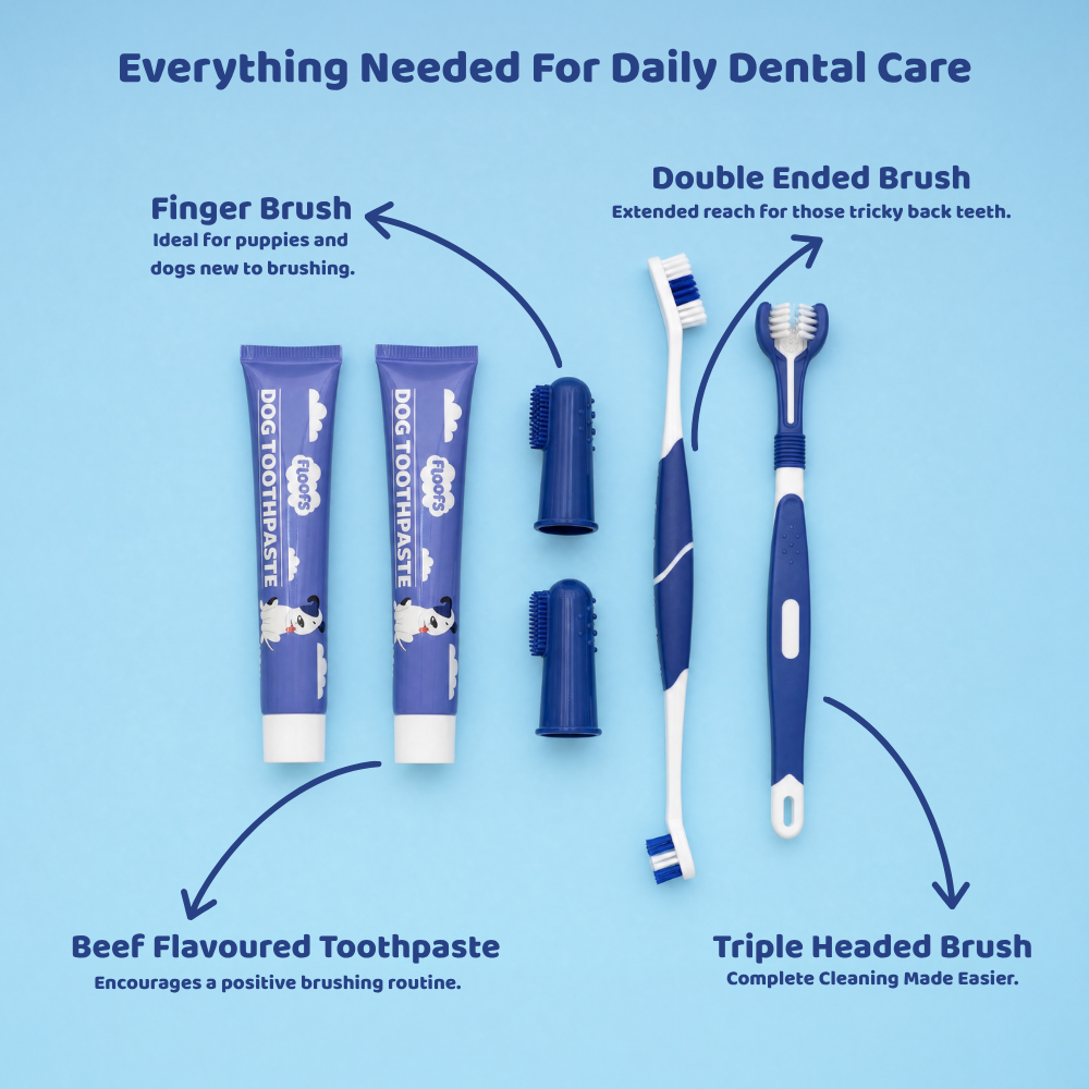 Pet Dental Care Set