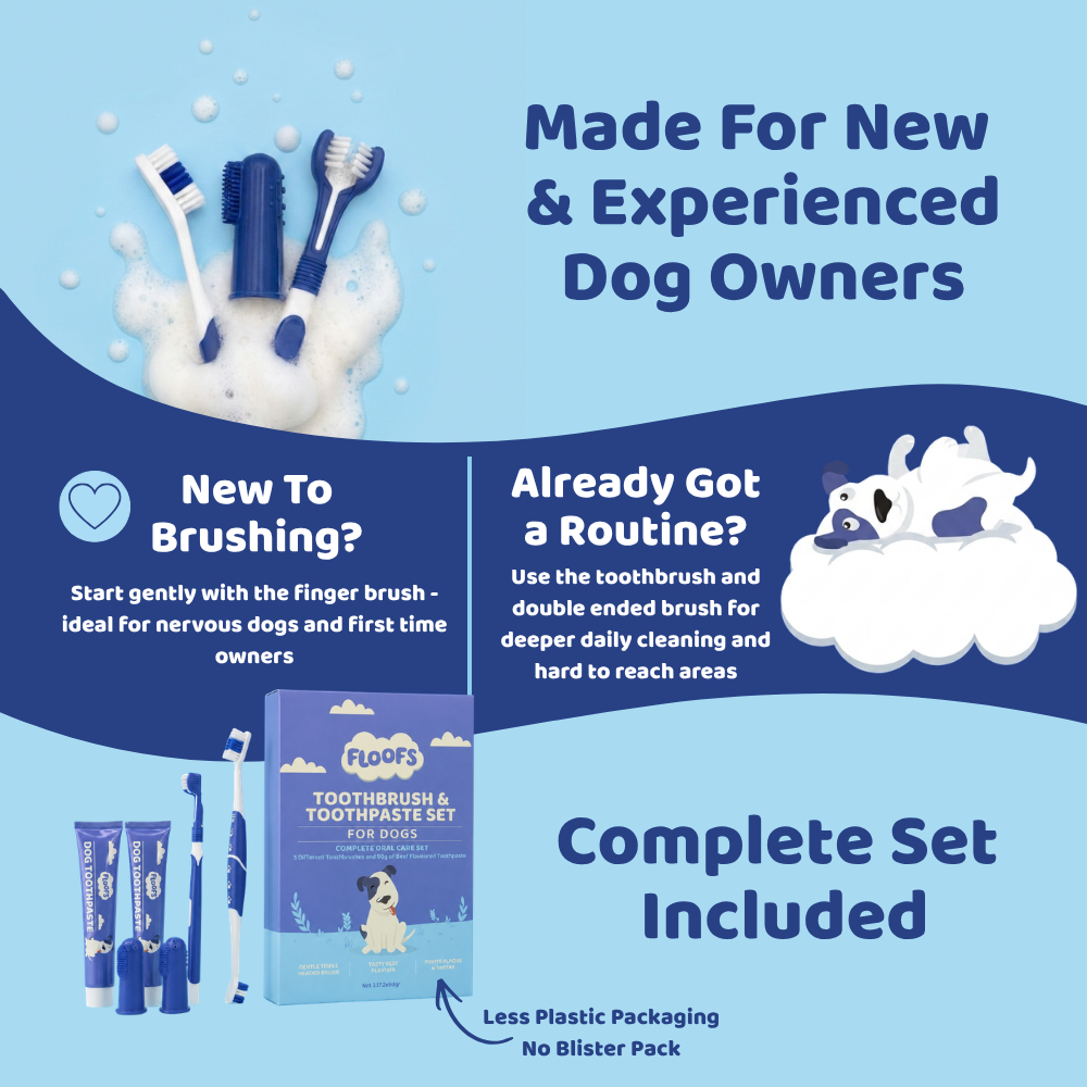 Pet Dental Care Set