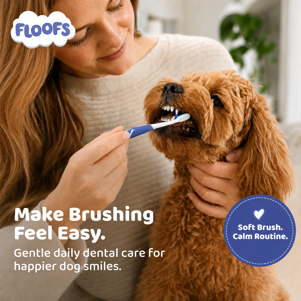 Pet Dental Care Set