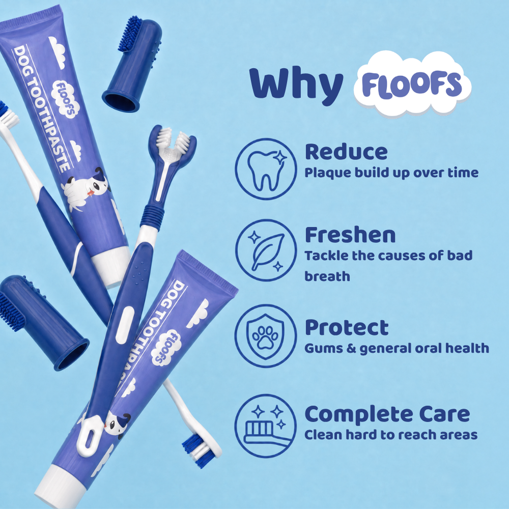 Pet Dental Care Set